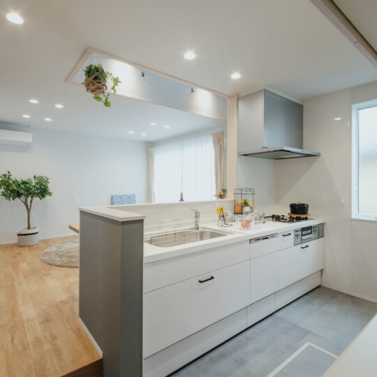 ダウンステップ